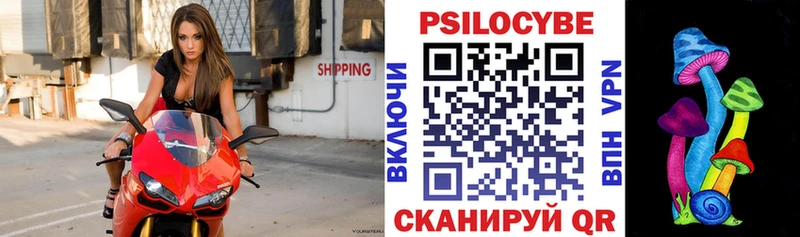 Галлюциногенные грибы Psilocybe  Купить закладки  Павлово 